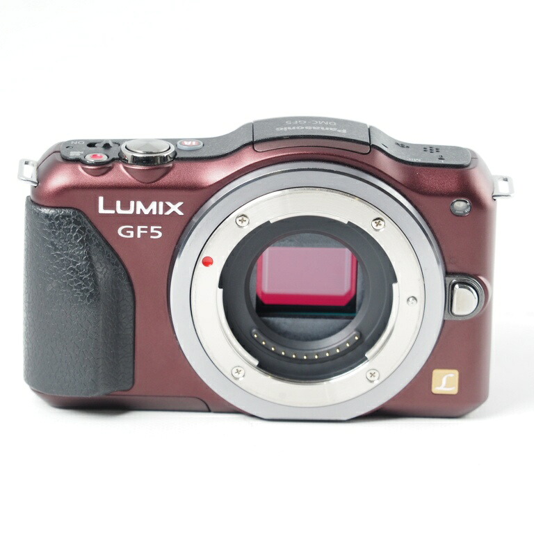 Panasonic LUMIX GF5 上半身 センシュアルブラウン パナソニック DMC-GF5X #14617