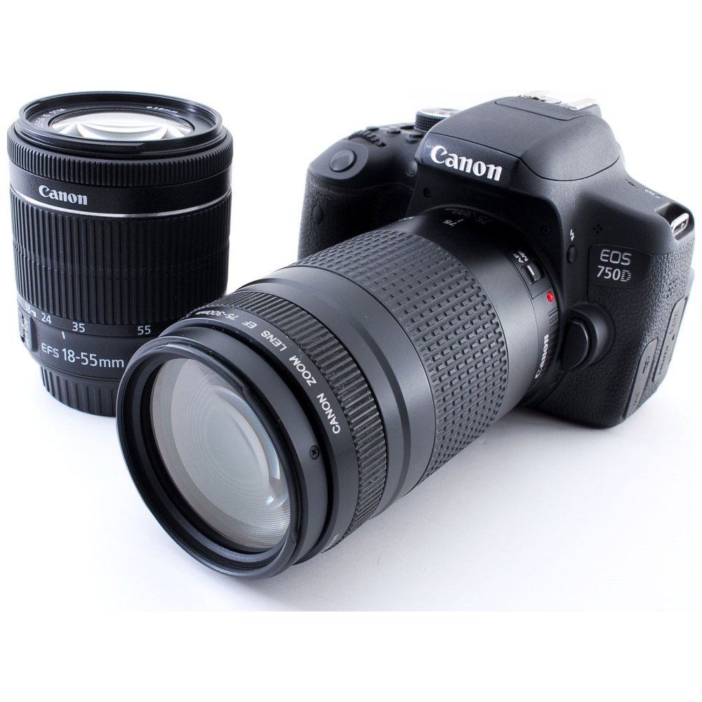 お得セット Canon キヤノン EOS 9000D ダブルズームセット SDカード