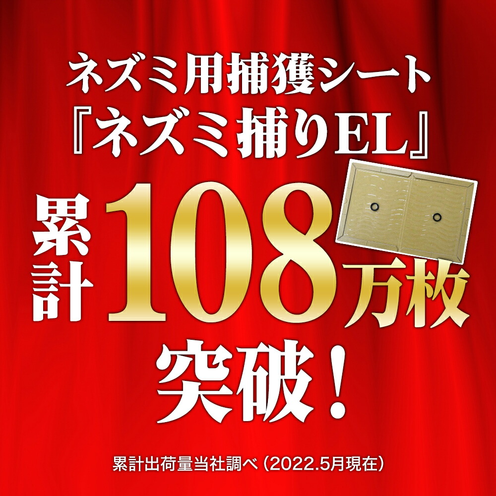 プロが使うネズミ捕り 業務用 50枚 EL ねずみ駆除 ネズミ捕り ネズミ粘着シート お値打ち価格で ネズミ捕り