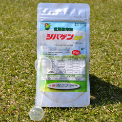 芝生用除草剤 シバゲンDF 20g  専用計量スプーン付 [ ドライフロアブル ]ゴルフ場の日本芝・西洋芝の雑草対策