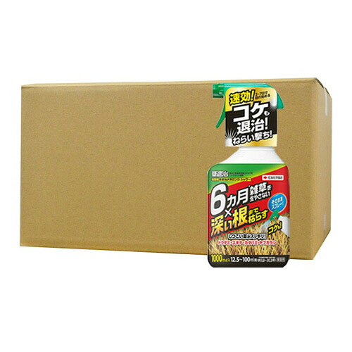 除草剤 草退治メガロングシャワー 1000ml×15本 KINCHO園芸