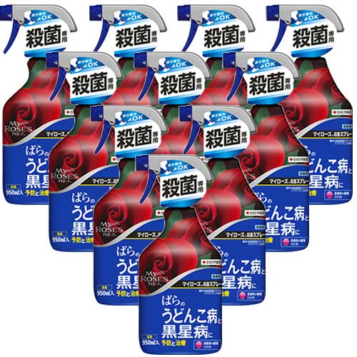 殺菌剤 マイローズ殺菌スプレー 950ml×10本 草花 観葉 花木 予防 治療 KINCHO園芸 6,360円