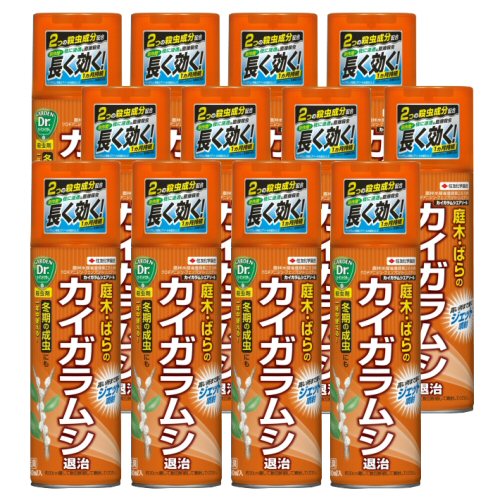 住友化学園芸 カイガラムシエアゾール 480ml 12本 殺虫剤 北海道 沖縄 離島配送不可 住友化学園芸 キャンペーン365殺虫効果一か月 480ml 12本 一年中使えて高い所までジェット噴射