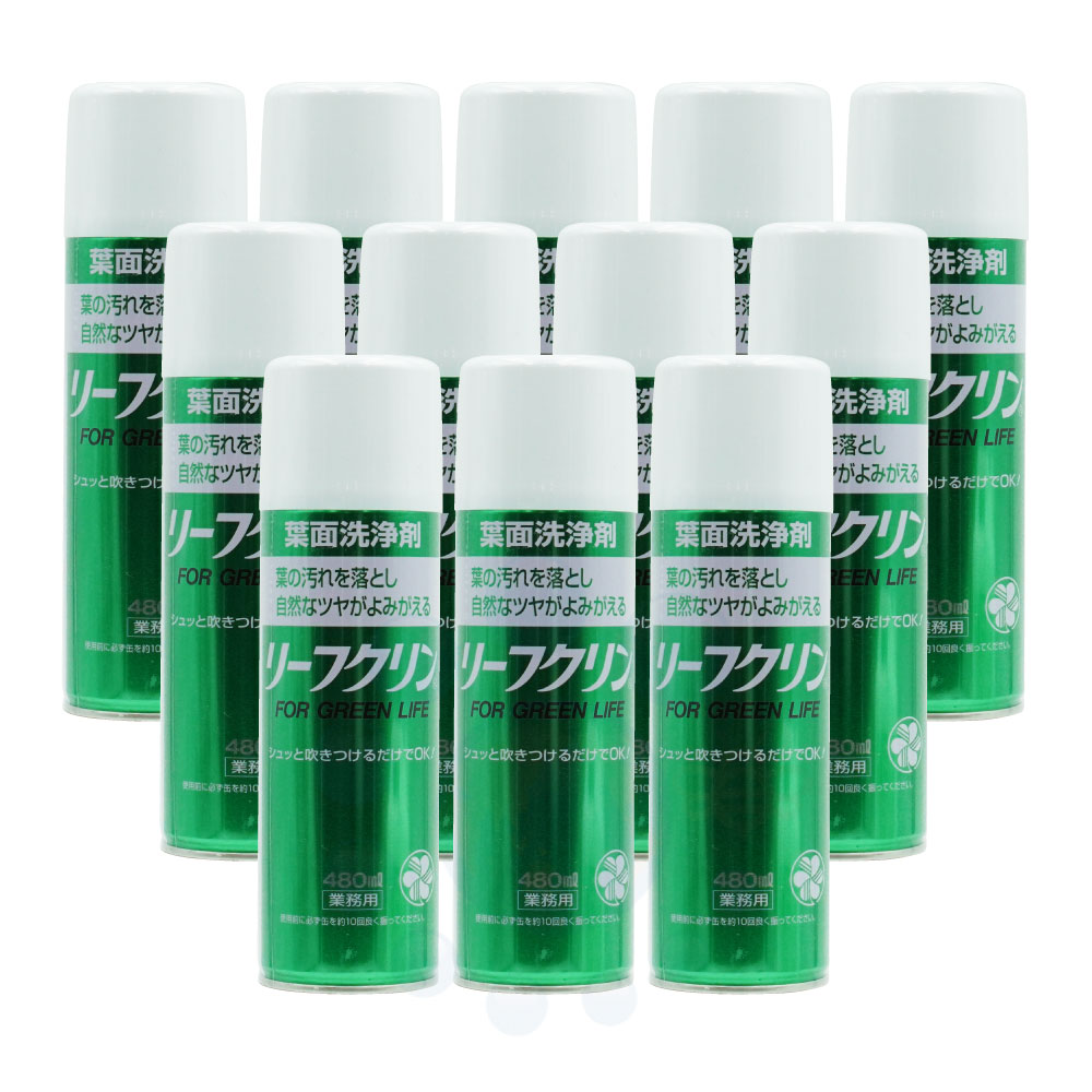 草木 葉 汚れた状態 洗いもの ロバート・エドワード・リーフクリン御勤め用 480ml×12本 葉面洗いもの剤 岩礁喨喨たる KINCHO園芸