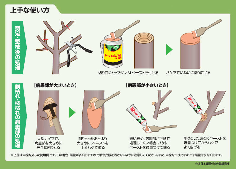 市場 殺菌癒合剤 200g×50本 殺菌塗布剤 トップジンMペースト 農薬