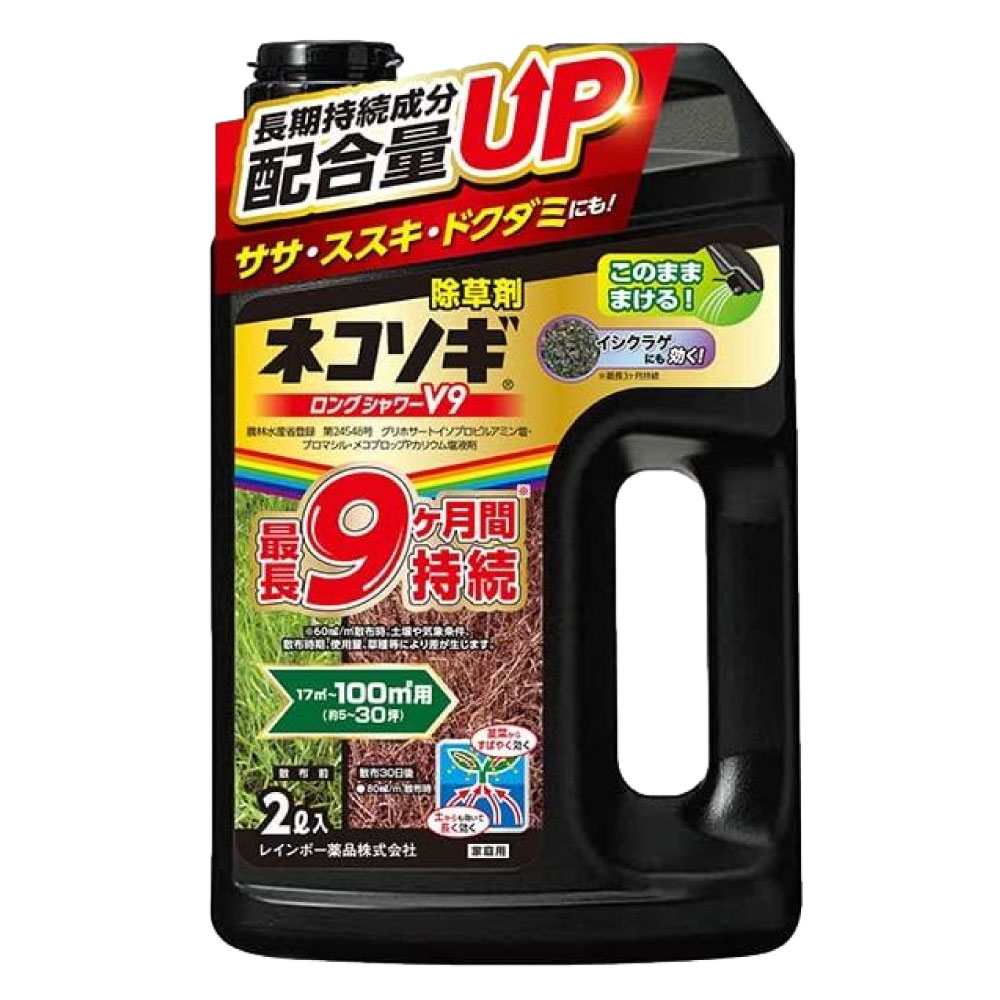 シグナル ネコソギ まとめ売り 本日21：00販売再開のお知らせ】！夜中のワカサギ ネコソギXXX