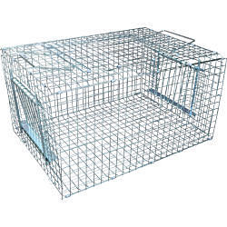 鳥類落とし穴 小鳥取り押さえる ひな鳥 鳩 保護すること器 【貨物輸送無料】