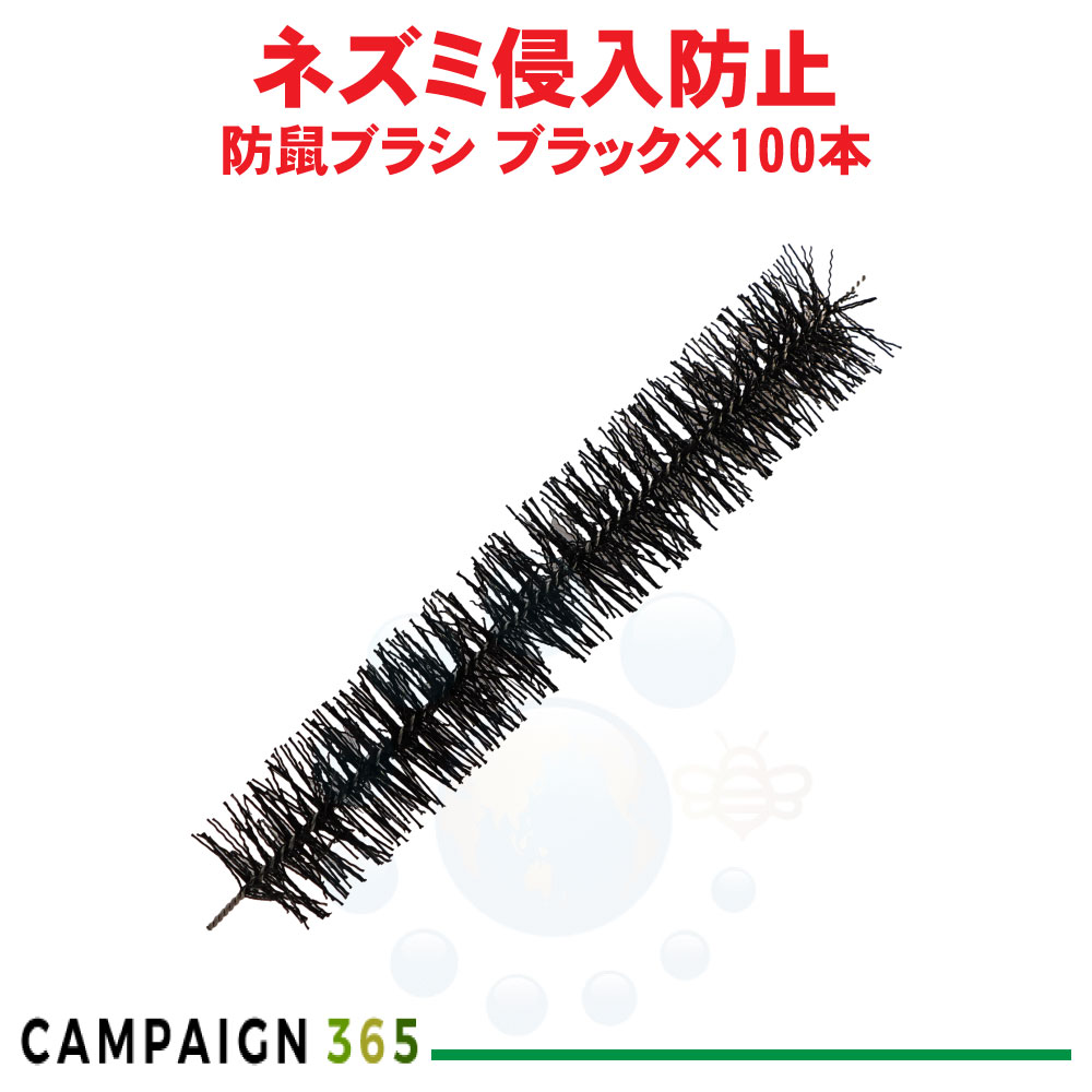鼠打つ手用毛はらい 防鼠毛はらい 黒いこと×100本 防そ毛はらい 鼠出しゃばる押しとどめる 鼠よけ 小毛の荒物 容れもの売りわたす