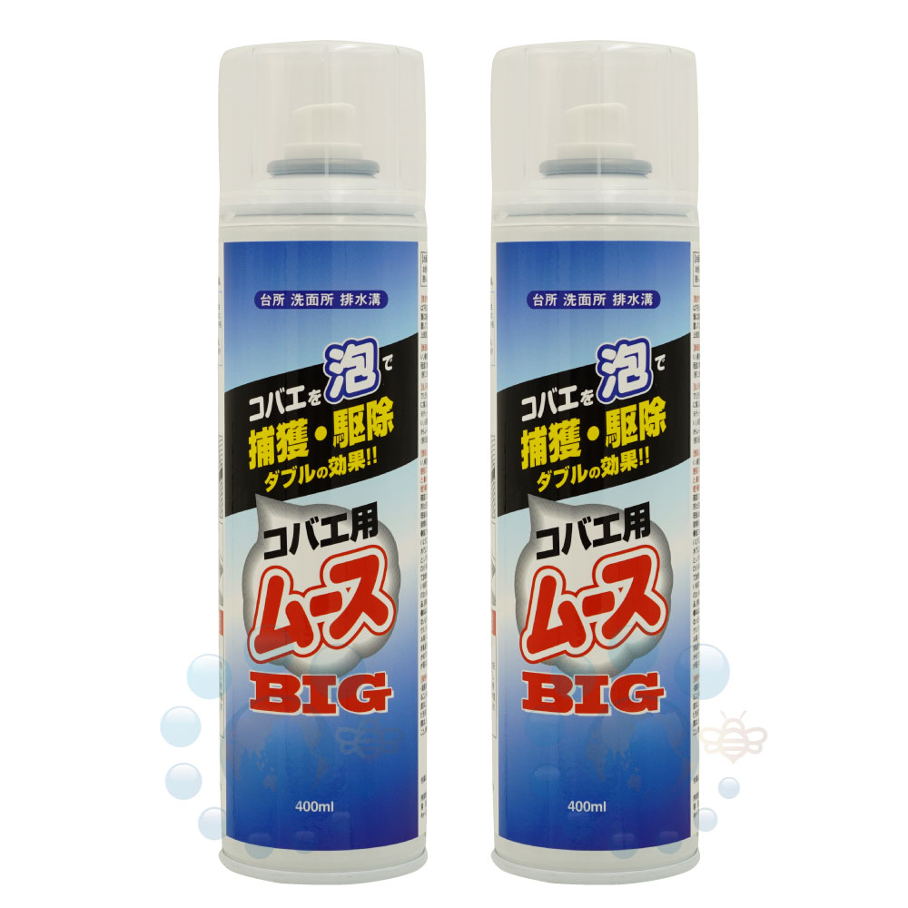 楽天市場 2本購入で送料無料 業務用コバエ用ムース 400ml増量タイプ 2本セット コバエ チョウバエ駆除スプレー 北海道 沖縄 離島配送不可 キャンペーン365