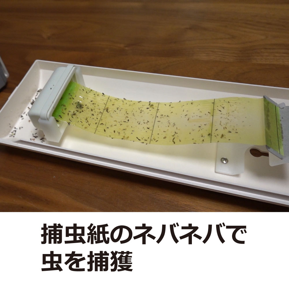 捕虫器ムシポンMiniMP-32本体2台セット小型捕虫機ユスリカコバエ虫退治飲食店【北海道・沖縄・離島配送不可】