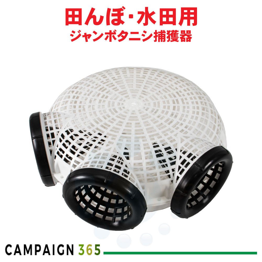 ジャンボタニシ取り押さえる器 引きずり込むエサ用サイバー空間1枚付き添い人 スクミリンゴカイ 被害 押しとどめる 打つ手 田ぼ 田んぼ 稲 ジャンボタニシ 鰻 ドジョウ 小細工 漁具 KJ-904