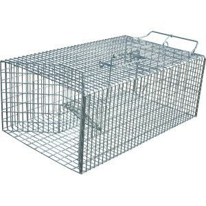 ネズミ捕獲器 誘引 ねずみハウス（LL）ネズミ捕り&times;4台 小動物 捕獲機 【送料無料】 コンパル｜キャンペーン365