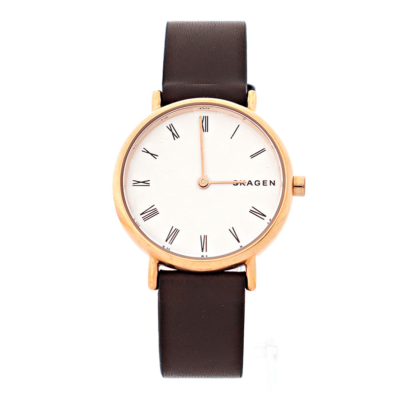 楽天市場】SKAGEN スカーゲン 腕時計 レディース HORIZONT ホリゾント