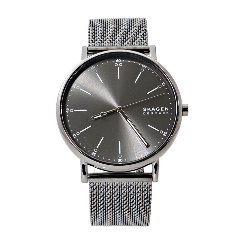 ウオッチ メッシュ 商行為 か細い ロゴタイプ SKAGEN  スカーゲン  SKW6577メンズ 新生きて行く 分かりやすい しろがね色 背広 並行輸入品