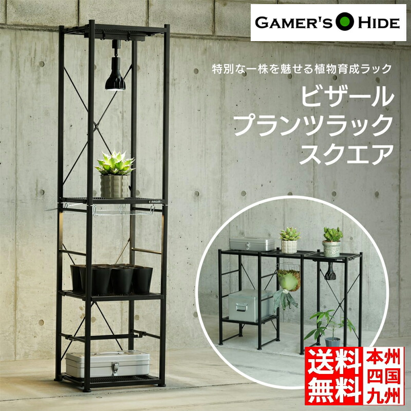 楽天市場】ボタニカルシェルフ ビザールプランツラック 植物育成 植物