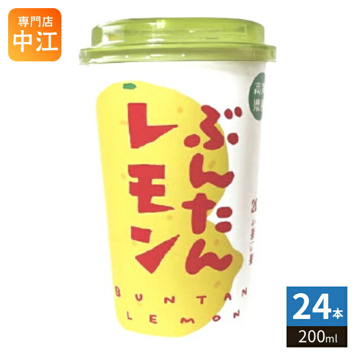 高知アイス ぶんたんレモン 200ml カップ 24本 (12本入×2 まとめ買い) 果汁飲料 文旦 檸檬