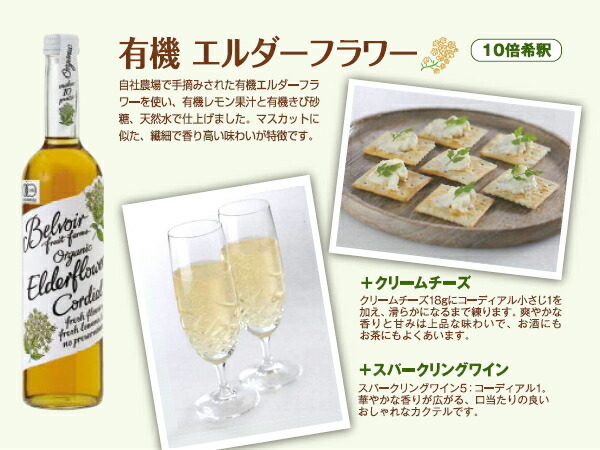 有機コーディアル 中江 いか 送料無料 一部地域除く クーポン配布中 ユウキ食品 エルダーフラワー クーポン配布中 ユウキ食品 さば 500ml 6本入 コーディアル 専門店 希釈タイプ 瓶