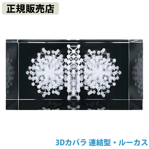 ≪ポイント20倍≫【正規販売店】3Dカバラ連結型・ルーカス (送料無料)