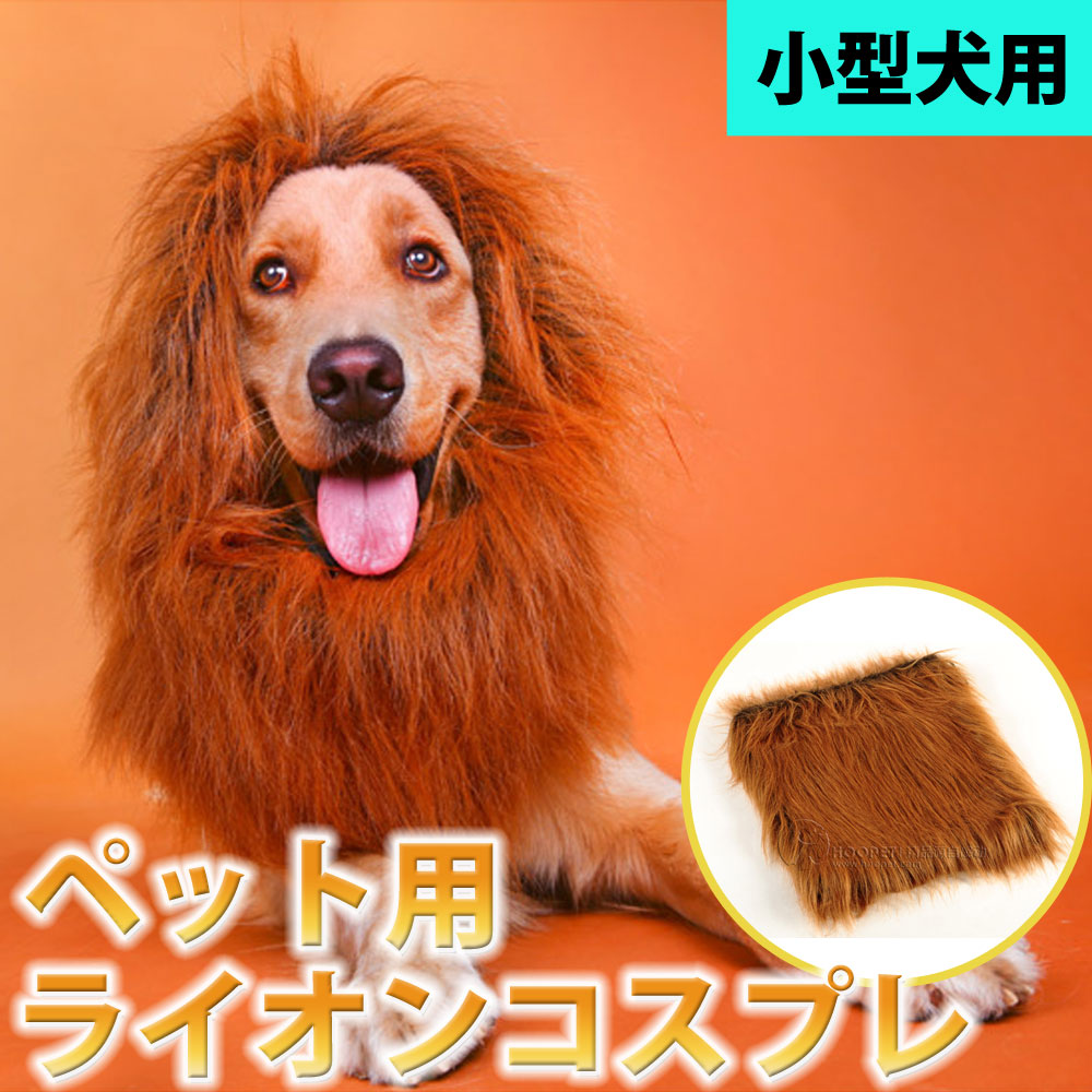楽天市場 送料無料 ペット たてがみコスチューム ライオン ハロウィン 仮装 コスプレ 帽子 猫 大型犬 Lp 06 送料無料 Rcp セレクトショップcandy