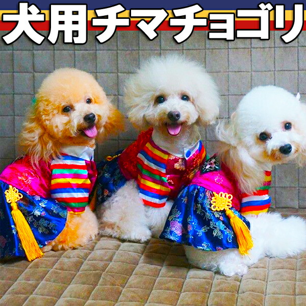 ★送料無料チマチョゴリパジチョゴリセクトンチョゴリ
