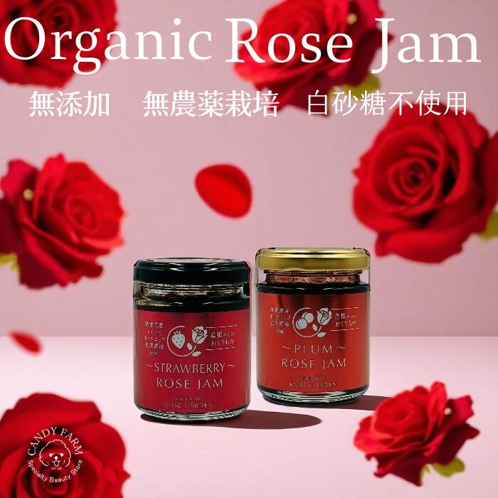 ☆11/30迄限定出品セール中☆ TomasaMartin作 ”赤いバラと日記” Christmas bitter/クリスマスの食卓を彩る辛口日本酒5銘柄 – HINEMOS