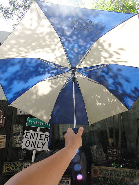 楽天市場 ムーンアイズ サーフィンクレイズ 折り畳み傘 アメリカ雑貨 アメリカン雑貨 ラットフィンク フィギュア アメリカ雑貨通販キャンディタワー