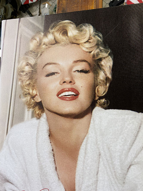 送料無料でお届けします マリリン モンローのキャンバスアート Sサイズ デザインa Cmdb Md