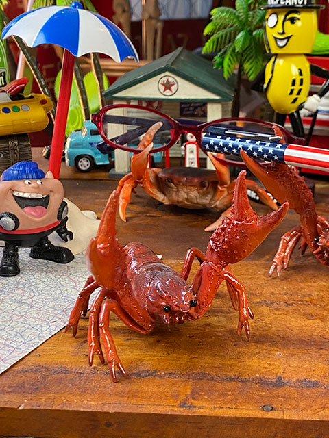 Sale 65 Off アメリカザリガニのペンホルダー メガネホルダー Fahrschule Witte De