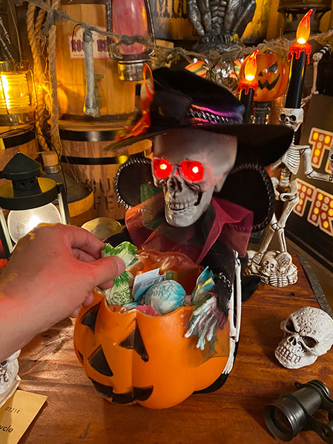 等身大パイレーツドクロ ハロウィンお店のディスプレイに オンライン販促品 等身大パイレーツドクロ ハロウィンお店のディスプレイに! その他