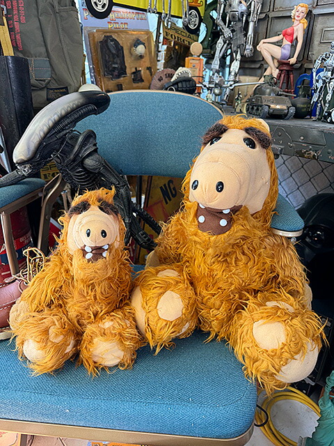 楽天市場】ぬいぐるみ キャラクター ALF 30cm インテリア ディスプレイ