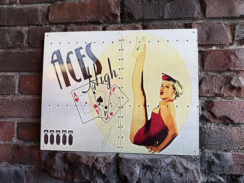 楽天市場】ピンナップガール ミリタリーアート ブリキ看板 （Eve of