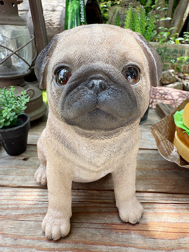 楽天市場】パグオブジェ【ジェントル】オーナメント リアル かわいい
