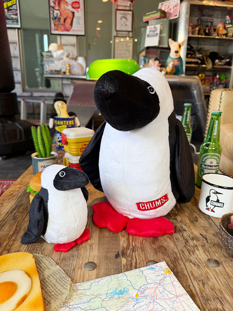 楽天市場】CHUMS チャムス CH62-1466 BOOBY DOLL ブービー ドール