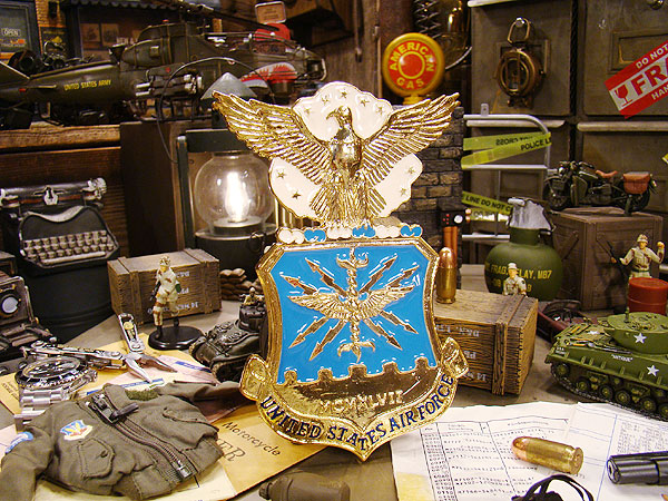 U S ミリタリーメダリオン U S 空軍 象徴断つ アメリカ合衆国雑貨 アメリカン雑貨 ミリタリーグッズ オブジェ 壁掛け 商店展覧 小物 ファッショナブル 好評 アメリカ 雑貨 Hotjobsafrica Org