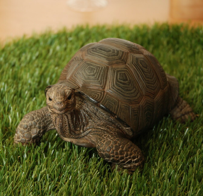 楽天市場 アニマル かめ トータス 置物 置き物 オブジェ 動物 どうぶつ Money Bank 貯金箱 オーナメント インテリア ギフト リアル おもちゃ 北欧 アンティーク かわいい 亀 カメ タートル フィギュア ビッグサイズ 剥製 のよう 人形 プレゼント 癒し 雑貨 玄関 リビング