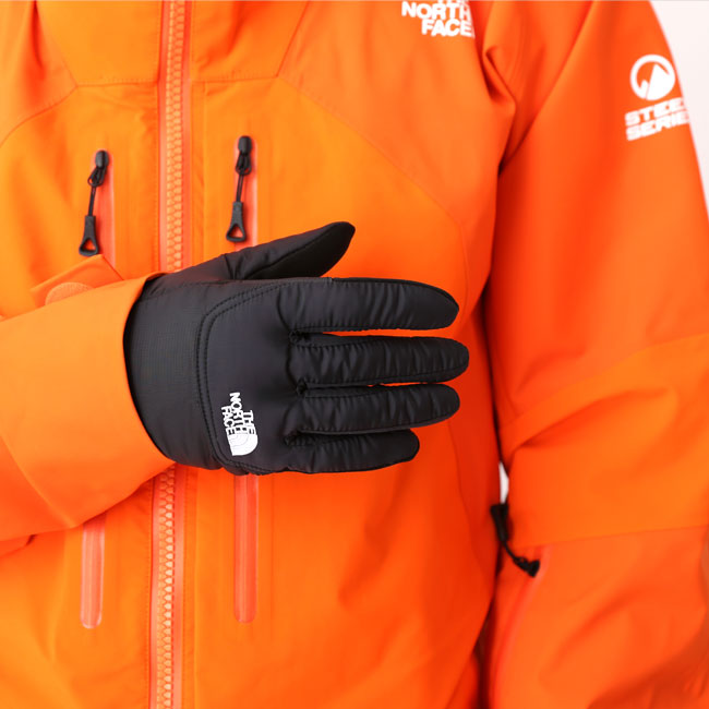 the north face expensive