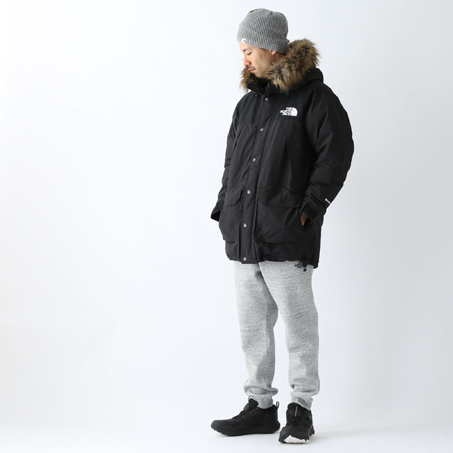 the north face mountain down coat