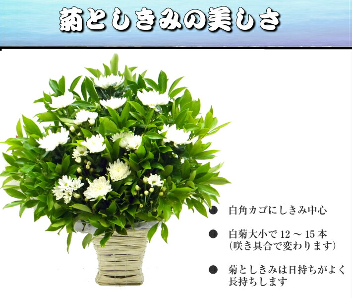 御供 法事 十三回忌 アレンジメント花 ガーデン Diy 御悔み 葬儀 送料無料 お供え お悔み 花 四十九日 フラワーアレンジメント 告別式 七回忌 アレンジメントフラワー 一対セット 菊としきみ しきびのアレンジ 大 一周忌 三回忌 法要 法事 生花 アレンジメント