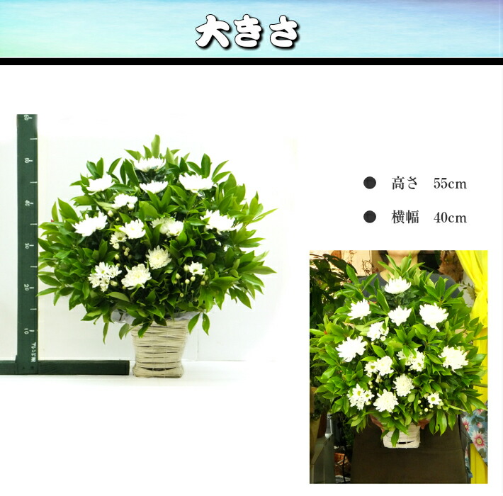 御供 法事 十三回忌 アレンジメント花 ガーデン Diy 御悔み 葬儀 送料無料 お供え お悔み 花 四十九日 フラワーアレンジメント 告別式 七回忌 アレンジメントフラワー 一対セット 菊としきみ しきびのアレンジ 大 一周忌 三回忌 法要 法事 生花 アレンジメント