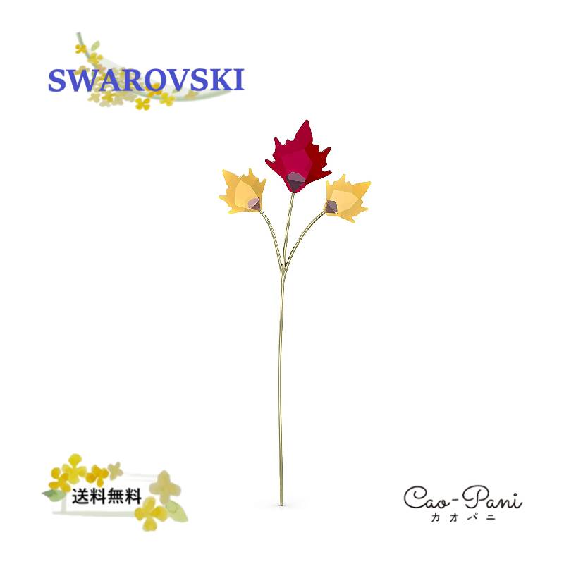 楽天市場】スワロフスキー ガーデンテイルズ コレクション パンプキン