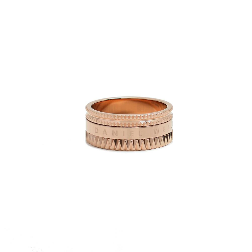 ダニエルウェリントン DANIEL WELLINGTON 輪っか DW00400264 メンズ エレベーション 輪っか ELEVATION RING  サクラ色ゴールド