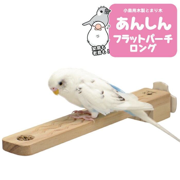 楽天市場】アサヒ ミニペットヒーター 20W : CAP！