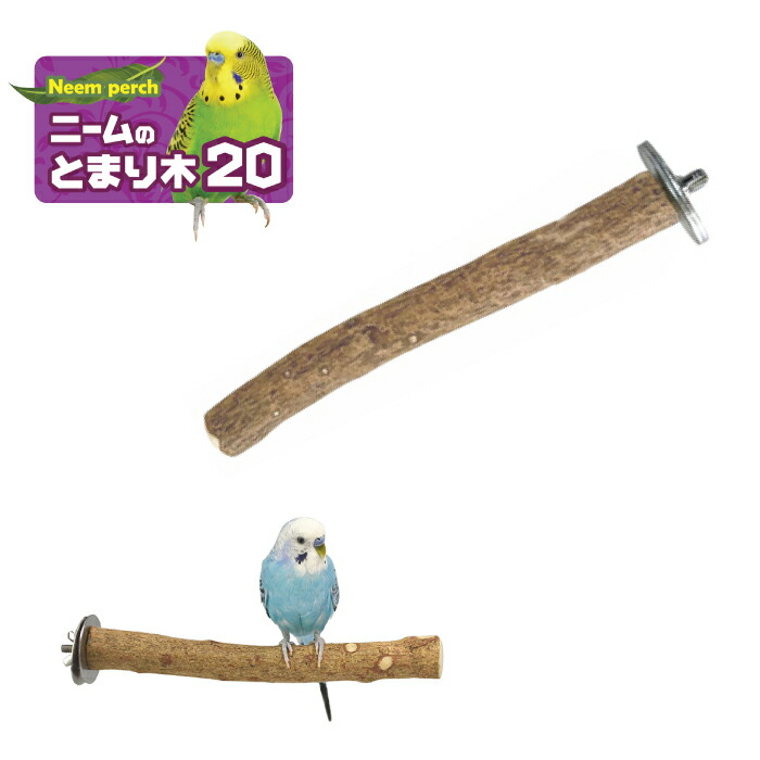 止まり木 s08m09 止まり木 s08m09 止まり木 s08m09 止まり木 s08m09 止まり木 s08m09