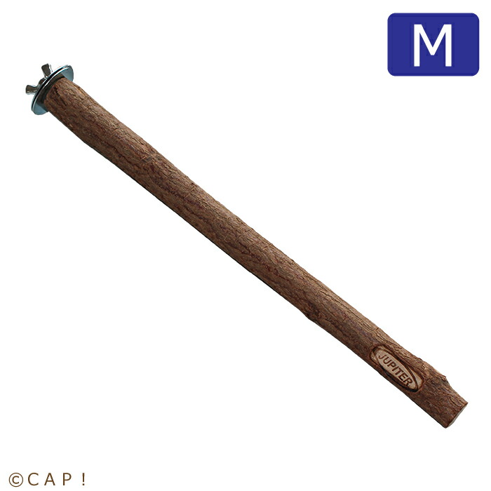 楽天市場】CAP! 鳥の栄養補助 賞味期限2024/9/14 ネクトンBio (Biotin) 35g☆ : ＣＡＰ！