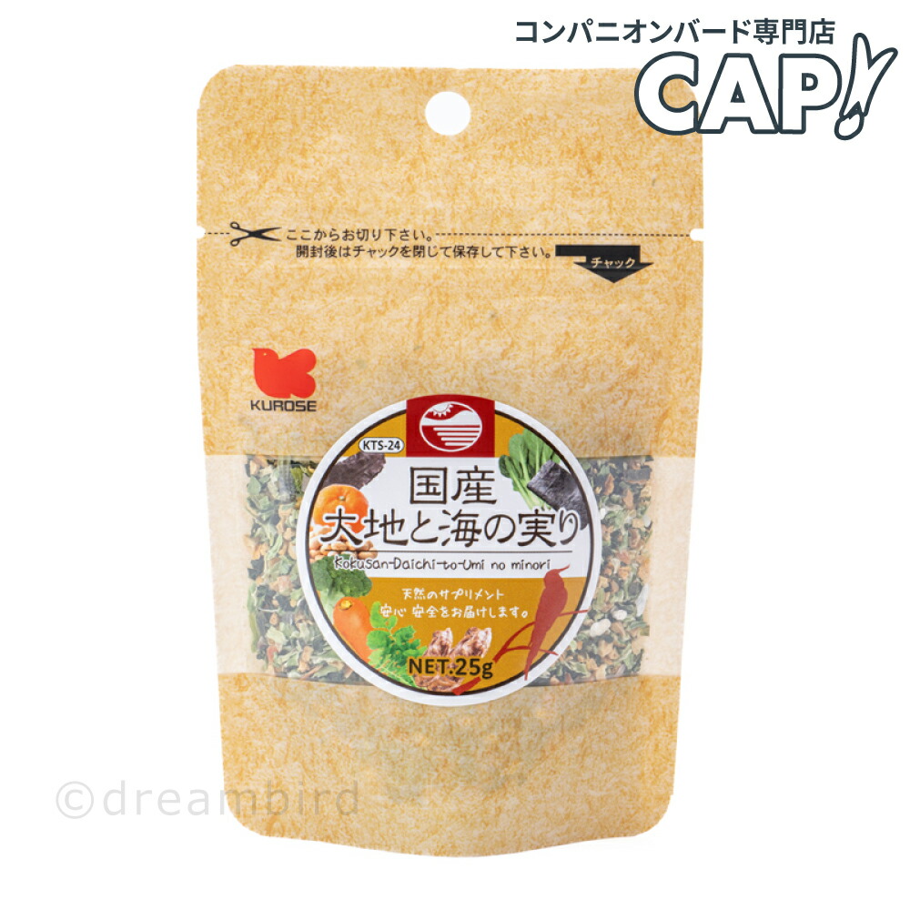 鳥類学 ニワトリのひよこ | 浜口標本｜鳥類・哺乳類 剥製制作