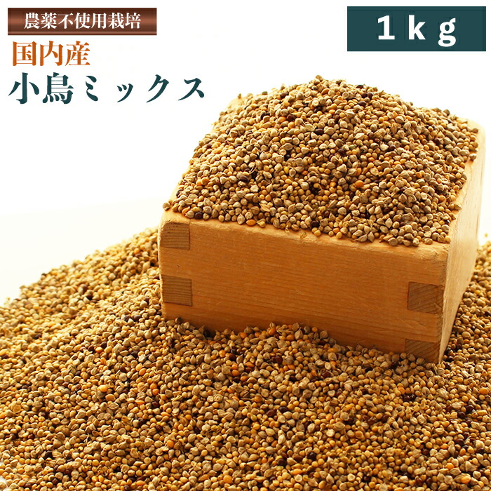 楽天市場】賞味期限2027/1/31 ※農薬不使用栽培【長崎県産】赤粟