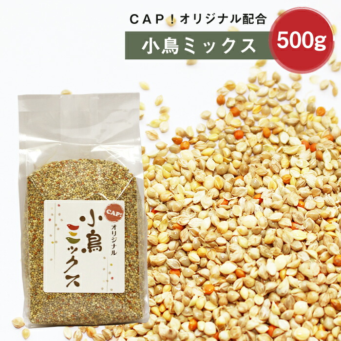 楽天市場】CAP! 鳥の栄養補助 賞味期限2023/7/10丸筒大 日本生菌※お徳用※大好きん 小鳥用 45g : ＣＡＰ！