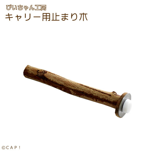 楽天市場】SANKO シェイプパーチS : CAP! 楽天市場】SANKO シェイプパーチS : CAP!