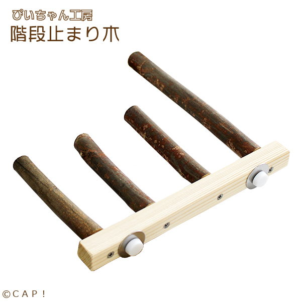 止まり木6本と1本おまけ。 楽天市場】【ぴいちゃん工房】止まり木（小）☆ : CAP！