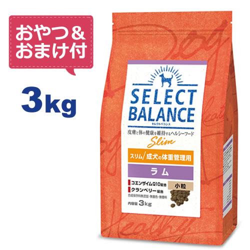 楽天市場】【おやつ＆おまけ付き♪】セレクトバランス